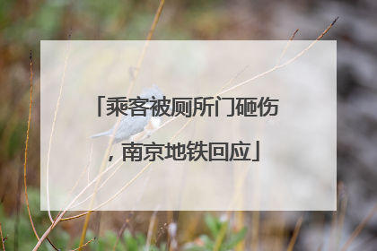 乘客被厕所门砸伤，南京地铁回应