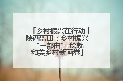 乡村振兴在行动丨陕西蓝田：乡村振兴 “三部曲” 绘就和美乡村新画卷
