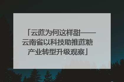 云蔗为何这样甜——云南省以科技助推蔗糖产业转型升级观察