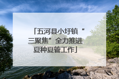 五河县小圩镇“三聚焦”全力推进夏种夏管工作