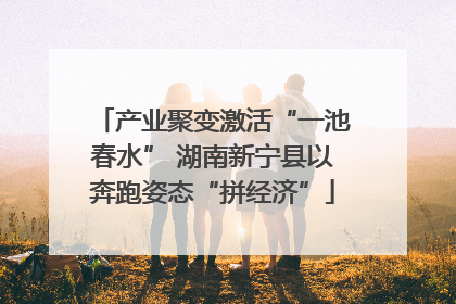 产业聚变激活“一池春水” 湖南新宁县以奔跑姿态“拼经济”