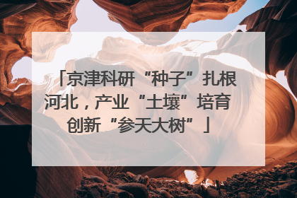京津科研“种子”扎根河北，产业“土壤”培育创新“参天大树”