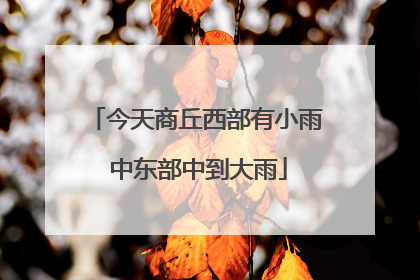 今天商丘西部有小雨 中东部中到大雨