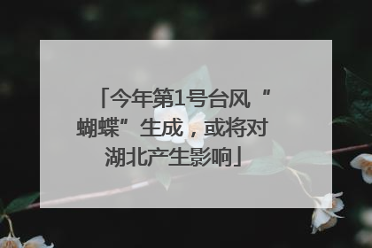 今年第1号台风“蝴蝶”生成，或将对湖北产生影响