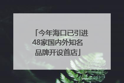 今年海口已引进48家国内外知名品牌开设首店