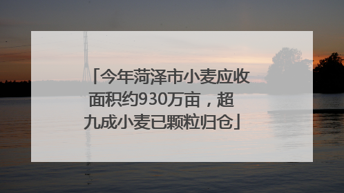 今年菏泽市小麦应收面积约930万亩，超九成小麦已颗粒归仓
