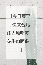 今日夏至，快来台儿庄古城吃黄花牛肉面啦！