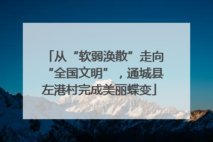 从“软弱涣散”走向“全国文明”，通城县左港村完成美丽蝶变