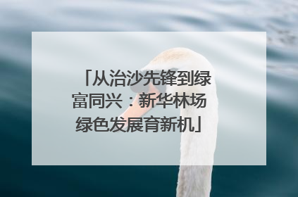 从治沙先锋到绿富同兴：新华林场绿色发展育新机