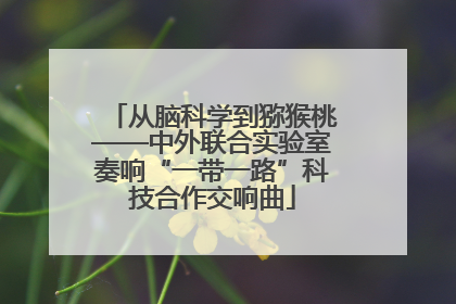 从脑科学到猕猴桃——中外联合实验室奏响“一带一路”科技合作交响曲