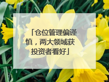 仓位管理偏谨慎，两大领域获投资者看好