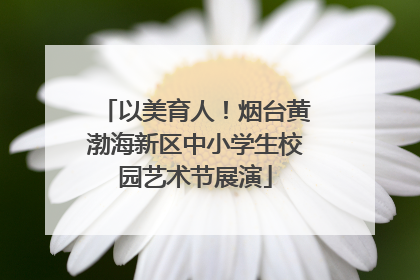 以美育人！烟台黄渤海新区中小学生校园艺术节展演