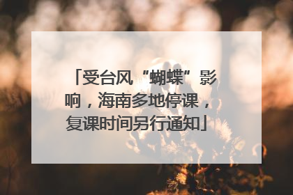 受台风“蝴蝶”影响，海南多地停课，复课时间另行通知