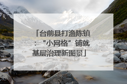 台前县打渔陈镇：“小网格”铺就基层治理新图景