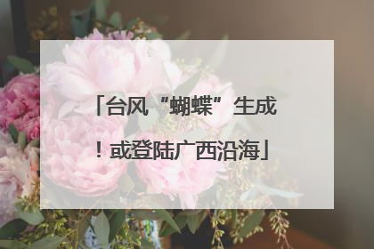 台风“蝴蝶”生成！或登陆广西沿海