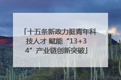 十五条新政力挺青年科技人才 赋能“13+34”产业链创新突破