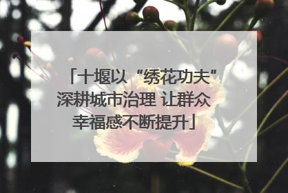 十堰以“绣花功夫”深耕城市治理 让群众幸福感不断提升