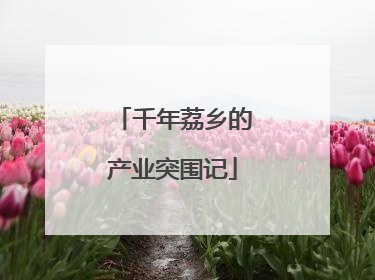 千年荔乡的产业突围记
