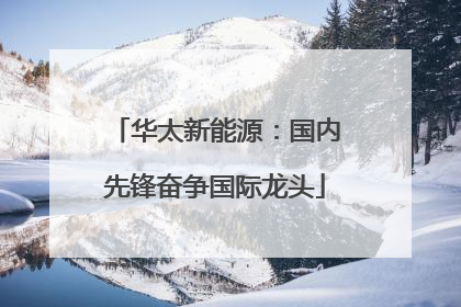华太新能源：国内先锋奋争国际龙头