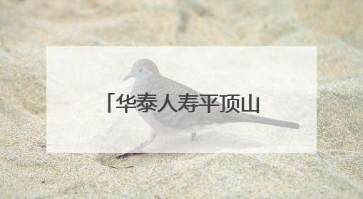 华泰人寿平顶山中心支公司多措并举  开展安全生产宣传活动