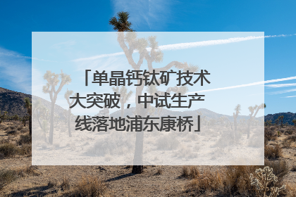 单晶钙钛矿技术大突破，中试生产线落地浦东康桥
