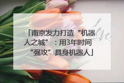 南京发力打造“机器人之城”：用3年时间“强攻”具身机器人