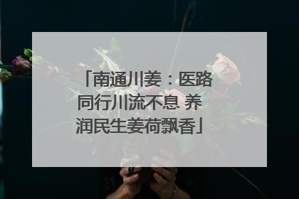 南通川姜：医路同行川流不息 养润民生姜荷飘香