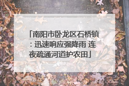 南阳市卧龙区石桥镇：迅速响应强降雨 连夜疏通河道护农田