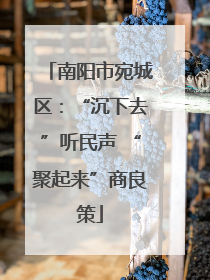 南阳市宛城区：“沉下去”听民声 “聚起来”商良策
