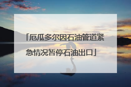 厄瓜多尔因石油管道紧急情况暂停石油出口