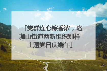 党群连心粽香浓，珞珈山街道两新组织别样主题党日庆端午
