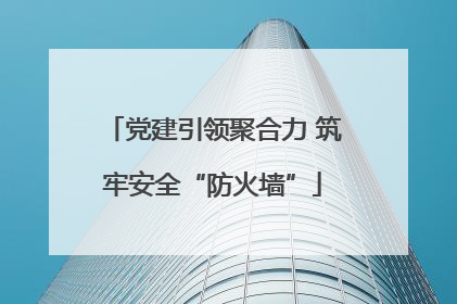 党建引领聚合力 筑牢安全“防火墙”