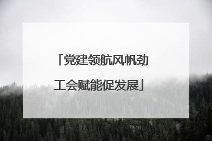 党建领航风帆劲 工会赋能促发展