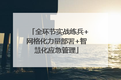 全环节实战练兵+网格化力量部署+智慧化应急管理
