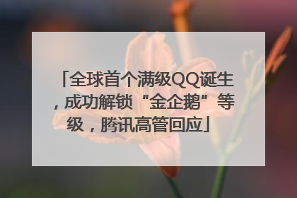 全球首个满级QQ诞生，成功解锁“金企鹅”等级，腾讯高管回应