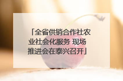 全省供销合作社农业社会化服务 现场推进会在泰兴召开