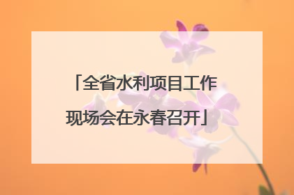 全省水利项目工作现场会在永春召开