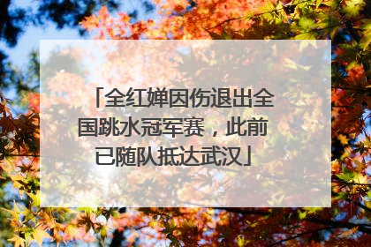 全红婵因伤退出全国跳水冠军赛，此前已随队抵达武汉
