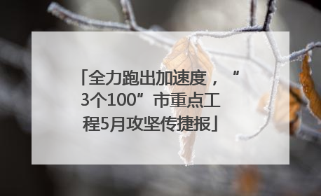 全力跑出加速度，“3个100”市重点工程5月攻坚传捷报