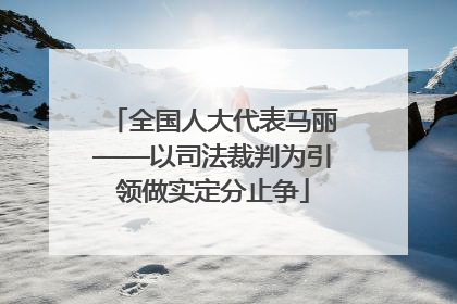 全国人大代表马丽——以司法裁判为引领做实定分止争