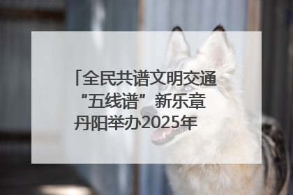 全民共谱文明交通“五线谱”新乐章 丹阳举办2025年“文明交通 同心同行”主题宣传活动