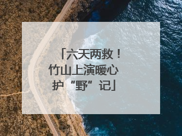六天两救！竹山上演暖心护“野”记