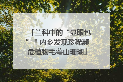 兰科中的“显眼包”！内乡发现珍稀濒危植物毛萼山珊瑚