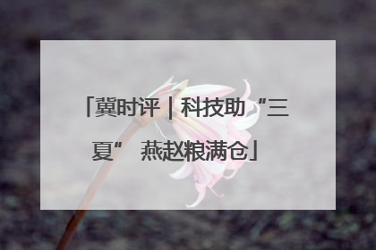 冀时评｜科技助“三夏” 燕赵粮满仓