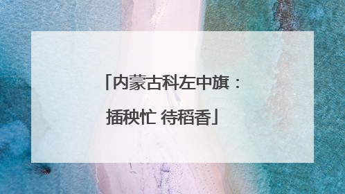 内蒙古科左中旗：插秧忙 待稻香