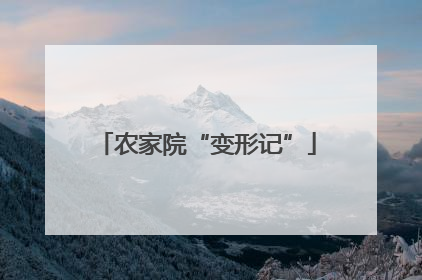 农家院“变形记”