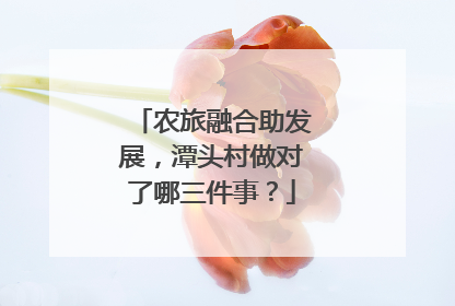 农旅融合助发展，潭头村做对了哪三件事？