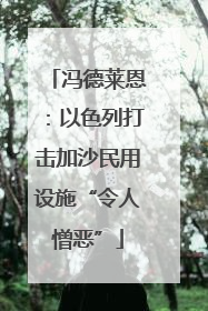 冯德莱恩：以色列打击加沙民用设施“令人憎恶”