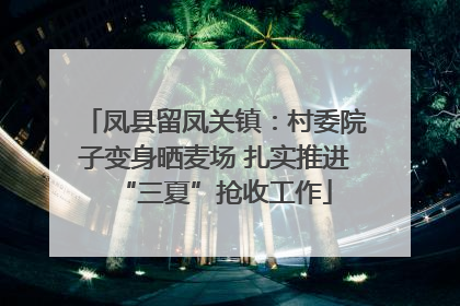凤县留凤关镇：村委院子变身晒麦场 扎实推进“三夏”抢收工作