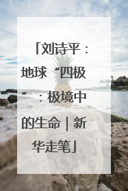 刘诗平：地球“四极”：极境中的生命｜新华走笔